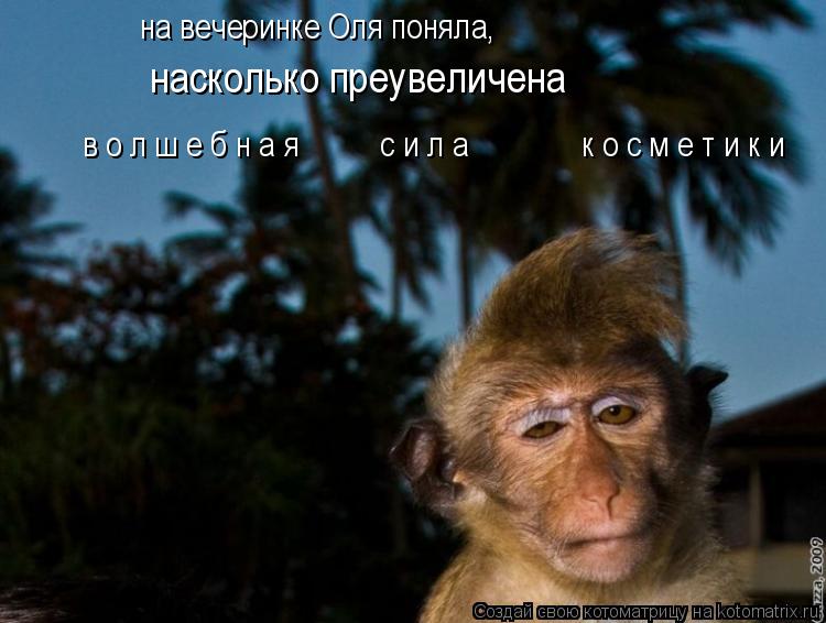 насколько преувеличена в о л ш е б н а я с и л а к о с м е т и к и на вечерин... Котоматрица: насколько преувеличена в о л ш е б н а я с и л а к о с м е т и к и на вечеринке Оля поняла,