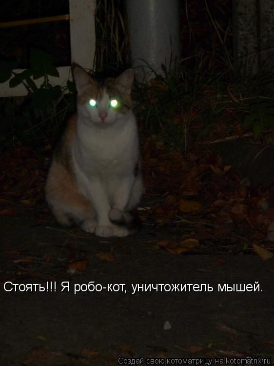 Стоять!!! Я робо-кот, уничтожитель мышей.... Котоматрица: Стоять!!! Я робо-кот, уничтожитель мышей.