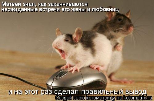 Матвей знал, как заканчиваются неожиданные встречи его жены и любовниц и на этот раз сделал правильн... Котоматрица: Матвей знал, как заканчиваются неожиданные встречи его жены и любовниц и на этот раз сделал правильный вывод