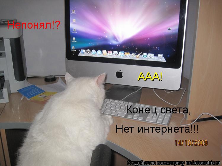 Непонял!? ААА! Конец света, Нет интернета!!!... Котоматрица: Непонял!? ААА! Конец света, Нет интернета!!!