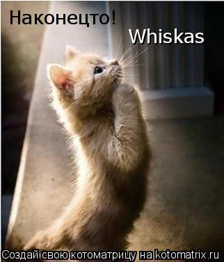 Наконецто! Whiskas... Котоматрица: Наконецто! Whiskas