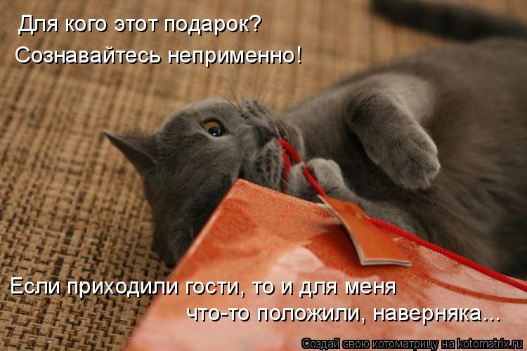 Для кого этот подарок? Сознавайтесь неприменно! Если приходили гости, то и для меня что-то положили, ... Котоматрица: Для кого этот подарок? Сознавайтесь неприменно! Если приходили гости, то и для меня что-то положили, наверняка...