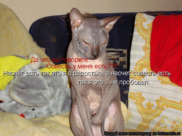 Котоматрица: Да что вы говорите.... Совесть у меня есть??? Насчет есть так это я с радостью, а насчет совесть есть так я это... не пробовал...