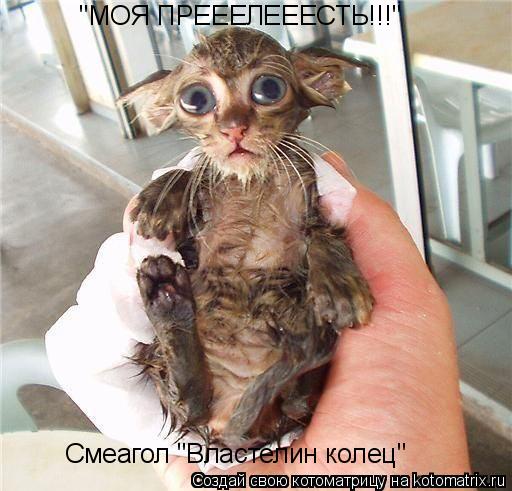 Котоматрица: "МОЯ ПРЕЕЕЛЕЕЕСТЬ!!!" Смеагол "Властелин колец"