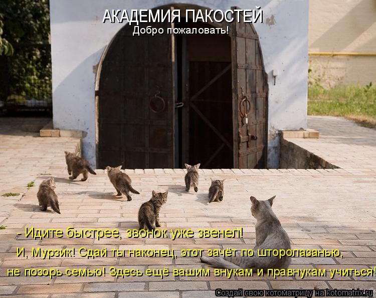 - Идите быстрее, звонок уже звенел! И, Мурзик! Сдай ты наконец, этот зачёт по шторолазанью, не позор... Котоматрица: - Идите быстрее, звонок уже звенел! И, Мурзик! Сдай ты наконец, этот зачёт по шторолазанью, не позорь семью! Здесь ещё вашим внукам и правнука