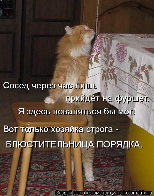 Сосед через час лишь прийдёт на фуршет. Я здесь поваляться бы мог! Вот только хозяйка строга - БЛЮСТИ... Котоматрица: Сосед через час лишь прийдёт на фуршет. Я здесь поваляться бы мог! Вот только хозяйка строга - БЛЮСТИТЕЛЬНИЦА ПОРЯДКА.