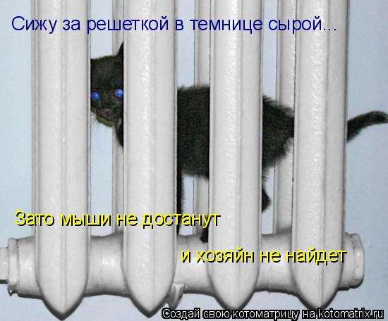 Котоматрица: Сижу за решеткой в темнице сырой... Зато мыши не достанут  и хозяйн не найдет