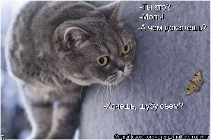 Котоматрица: -Ты кто? -А чем докажешь? -Моль! -Хочешь, шубу съем?