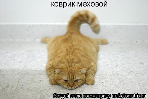 Котоматрица: коврик меховой