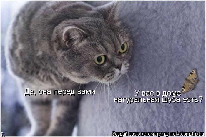 Котоматрица: Да, она перед вами У вас в доме  натуральная шуба есть?