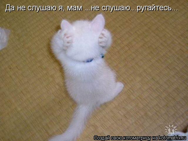 Да не слушаю я, мам ...не слушаю...ругайтесь...... Котоматрица: Да не слушаю я, мам ...не слушаю...ругайтесь...