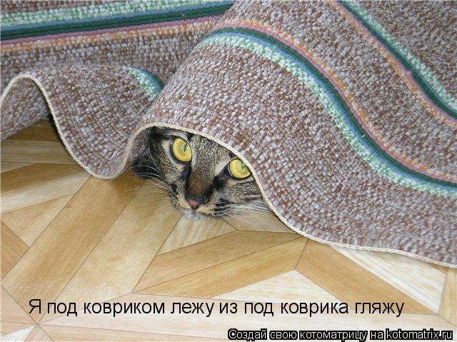 Котоматрица: Я под ковриком лежу из под коврика гляжу