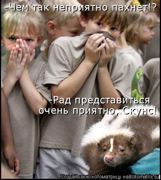 Котоматрица: -Чем так неприятно пахнет!? -Рад представиться очень приятно, Скунс!