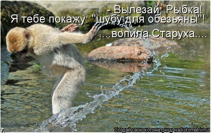 - Вылезай, Рыбка! Я тебе покажу: "шубу для обезьяны"! ....вопила Старуха....... Котоматрица: - Вылезай, Рыбка! Я тебе покажу: "шубу для обезьяны"! ....вопила Старуха....
