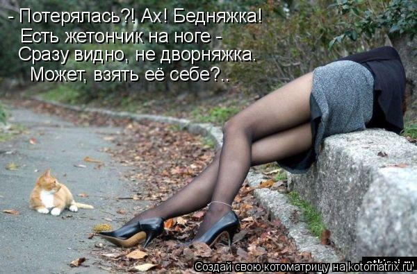 - Потерялась?! Ах! Бедняжка! Есть жетончик на ноге - Сразу видно, не дворняжка. Может, взять её себе?... Котоматрица: - Потерялась?! Ах! Бедняжка! Есть жетончик на ноге - Сразу видно, не дворняжка. Может, взять её себе?..