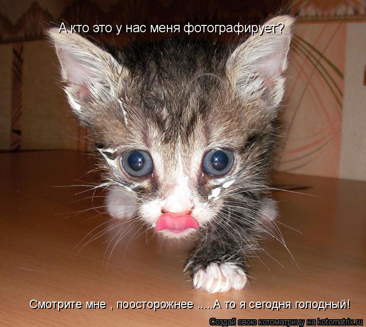 А кто  А кто это у нас меня фотографирует? Смотрите мне , поосторожнее .....А то я сегодня голодный!