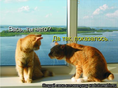 Котоматрица: Вась, ты чего? Да так, показалось...