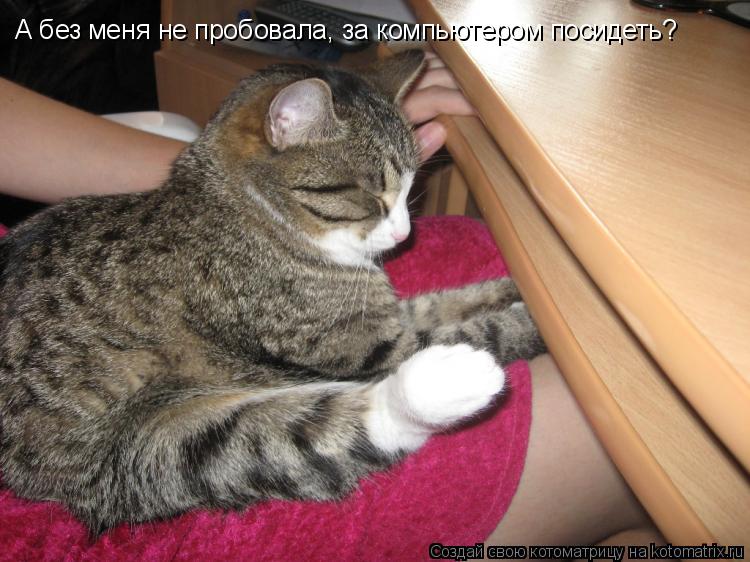 А без меня не пробовала, за компьютером посидеть?... Котоматрица: А без меня не пробовала, за компьютером посидеть?