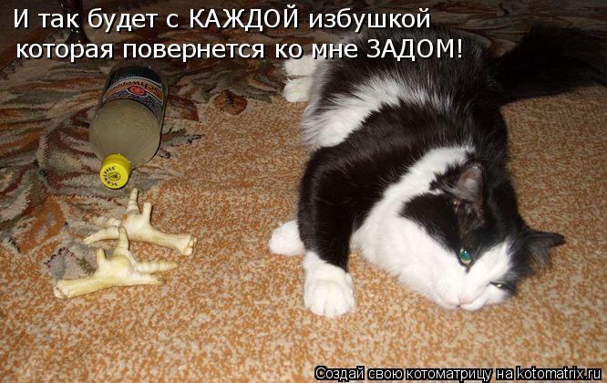 И так будет с КАЖДОЙ избушкой которая повернется ко мне ЗАДОМ!... Котоматрица: И так будет с КАЖДОЙ избушкой которая повернется ко мне ЗАДОМ!