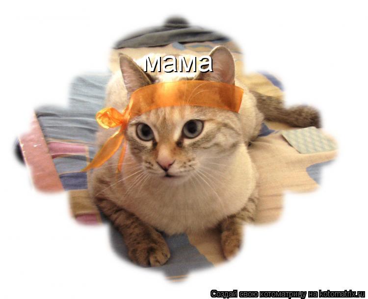 мама мама... Котоматрица: мама мама