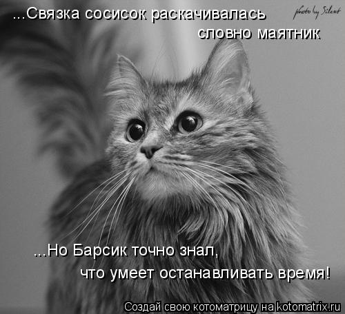 ...Связка сосисок раскачивалась словно маятник ...Но Барсик точно знал, что умеет останавливать время... Котоматрица: ...Связка сосисок раскачивалась словно маятник ...Но Барсик точно знал, что умеет останавливать время!