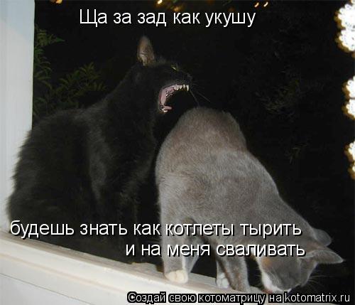 Ща за зад как укушу будешь знать как котлеты тырить и на меня сваливать... Котоматрица: Ща за зад как укушу будешь знать как котлеты тырить и на меня сваливать
