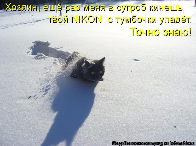 Точно знаю! Хозяин, ещё раз меня в сугроб кинешь, твой NIKON с тумбочки упадёт.... Котоматрица: Точно знаю! Хозяин, ещё раз меня в сугроб кинешь, твой NIKON с тумбочки упадёт.