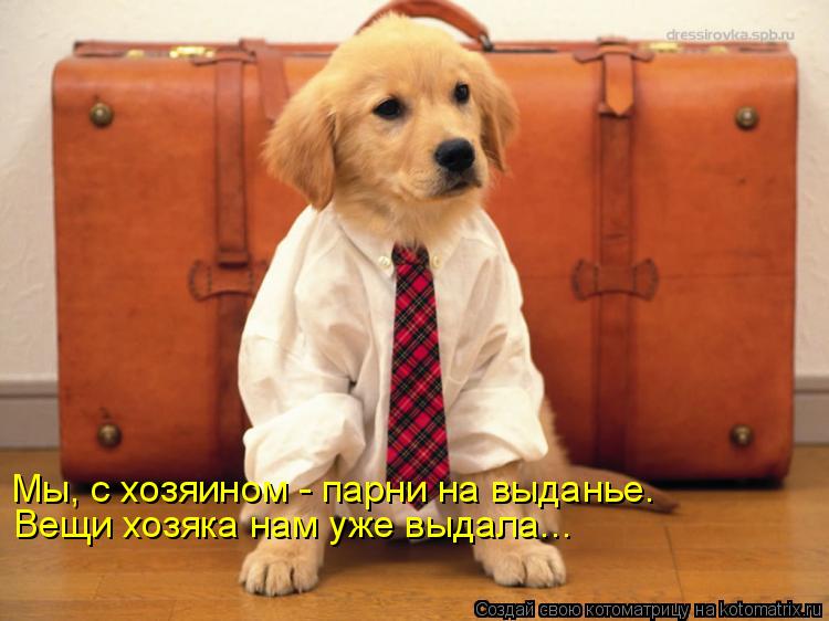 Котоматрица: Мы, с хозяином - парни на выданье.  Вещи хозяка нам уже выдала...