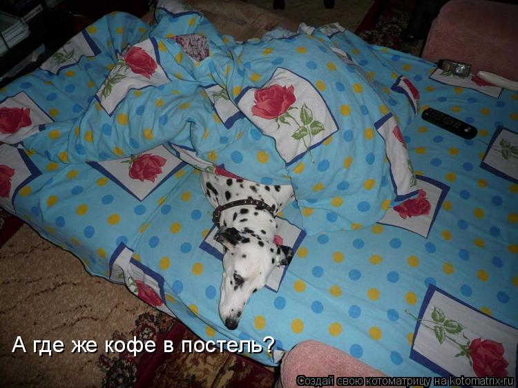 Котоматрица: А где же кофе в постель?