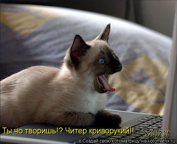 Котоматрица: Ты чо творишь!? Читер криворукий!!