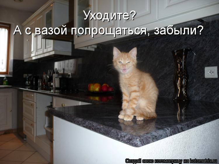 А с вазой попрощаться, забыли? Уходите?... Котоматрица: А с вазой попрощаться, забыли? Уходите?