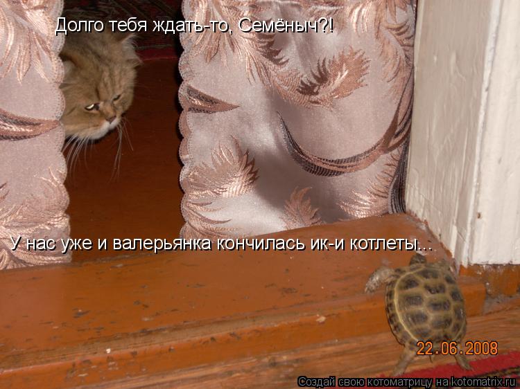 Долго тебя ждать-то, Семёныч?! У нас уже и валерьянка кончилась ик-и котлеты...... Котоматрица: Долго тебя ждать-то, Семёныч?! У нас уже и валерьянка кончилась ик-и котлеты...