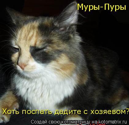 Муры-Пуры Хоть поспать дадите с хозяевом?... Котоматрица: Муры-Пуры Хоть поспать дадите с хозяевом?