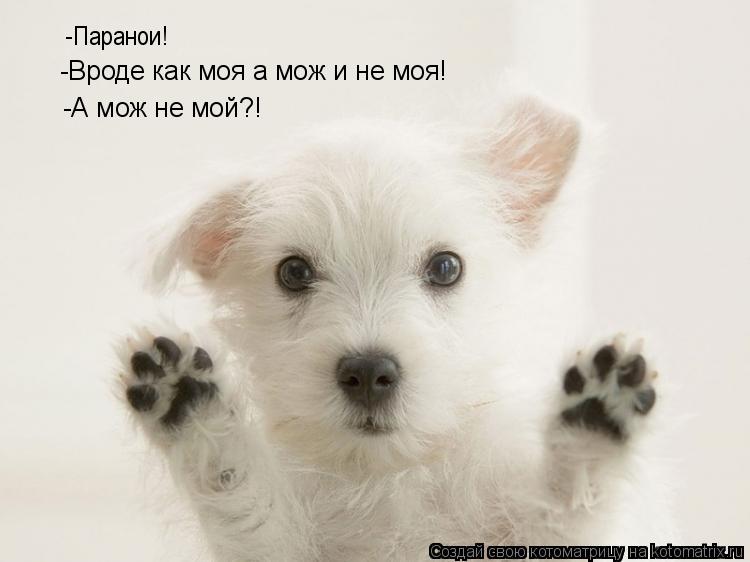 -Паранои! -А мож не мой?! -Вроде как моя а мож и не моя!... Котоматрица: -Паранои! -А мож не мой?! -Вроде как моя а мож и не моя!