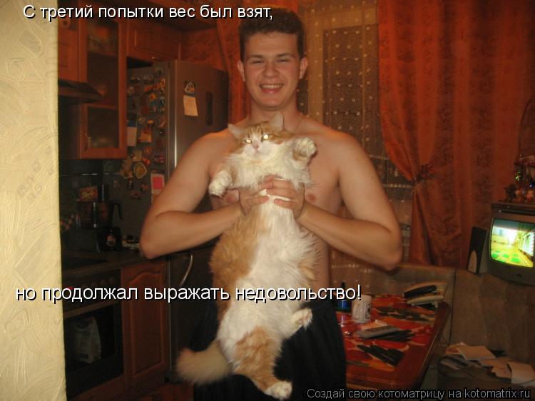 С третий попытки вес был взят, но продолжал выражать недовольство!... Котоматрица: С третий попытки вес был взят, но продолжал выражать недовольство!