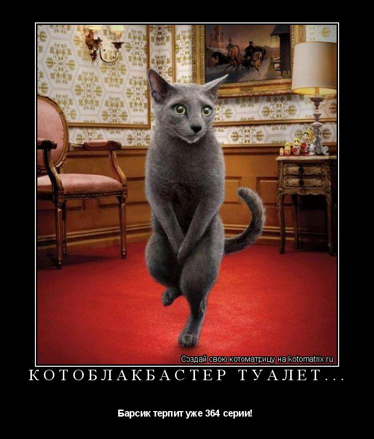 Котоблакбастер ТУАЛЕТ... Барсик терпит уже 364 серии! ... Котоматрица: Котоблакбастер ТУАЛЕТ... Барсик терпит уже 364 серии!