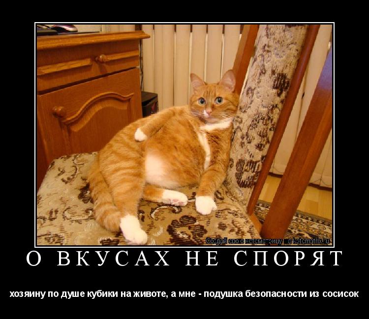 о вкусах не спорят хозяинy по душе кубики на животе, а мне - подушка безопасности из сосисок... Котоматрица: о вкусах не спорят хозяинy по душе кубики на животе, а мне - подушка безопасности из сосисок
