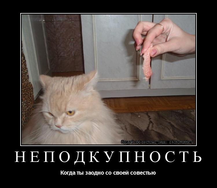 Неподкупность Когда ты заодно со своей совестью... Котоматрица: Неподкупность Когда ты заодно со своей совестью
