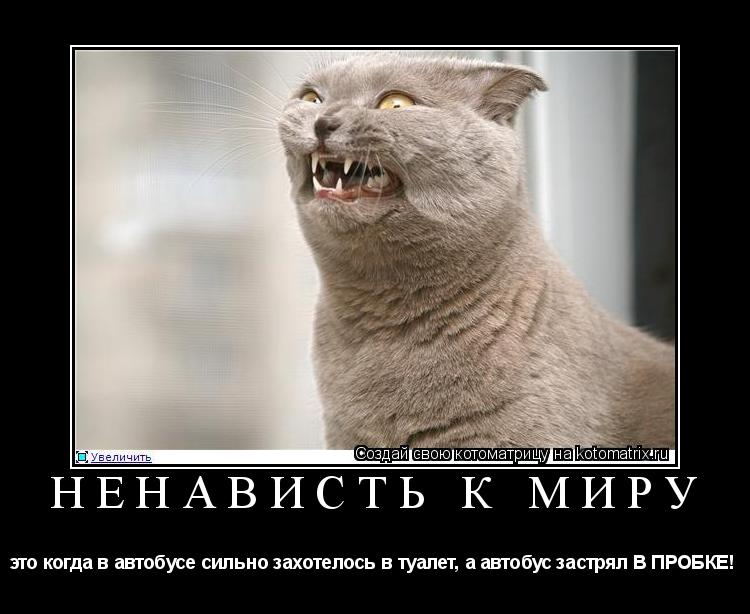 НЕНАВИСТЬ К МИРУ это когда в автобусе сильно захотелось в туалет, а автобус застрял В ПРОБКЕ! ... Котоматрица: НЕНАВИСТЬ К МИРУ это когда в автобусе сильно захотелось в туалет, а автобус застрял В ПРОБКЕ!
