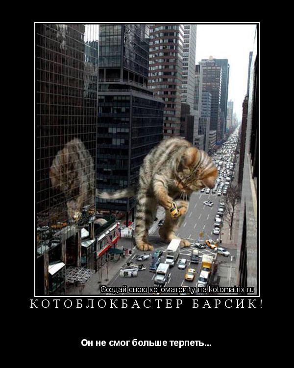 Котоблокбастер Барсик! Он не смог больше терпеть...... Котоматрица: Котоблокбастер Барсик! Он не смог больше терпеть...