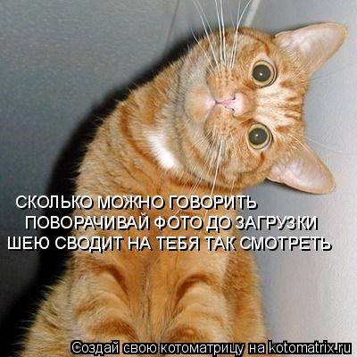 СКОЛЬКО МОЖНО ГОВОРИТЬ ПОВОРАЧИВАЙ ФОТО ДО ЗАГРУЗКИ ШЕЮ СВОДИТ НА ТЕБЯ ТАК СМОТРЕТЬ... Котоматрица: СКОЛЬКО МОЖНО ГОВОРИТЬ ПОВОРАЧИВАЙ ФОТО ДО ЗАГРУЗКИ ШЕЮ СВОДИТ НА ТЕБЯ ТАК СМОТРЕТЬ