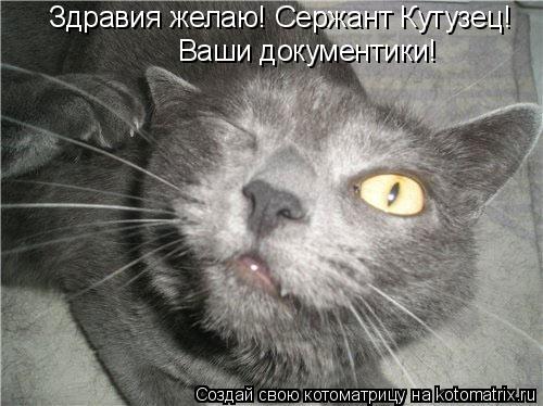 Здравия желаю! Сержант Кутузец! Ваши документики!... Котоматрица: Здравия желаю! Сержант Кутузец! Ваши документики!