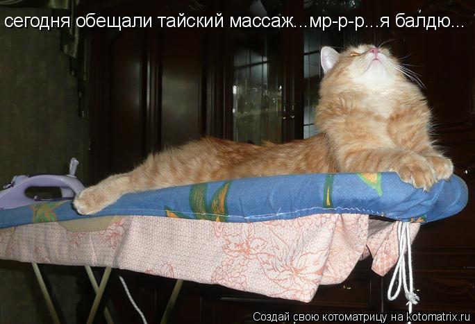 сегодня обещали тайский массаж...мр-р-р...я балдю...... Котоматрица: сегодня обещали тайский массаж...мр-р-р...я балдю...