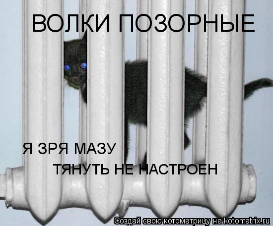 ТЯНУТЬ НЕ НАСТРОЕН ВОЛКИ ПОЗОРНЫЕ Я ЗРЯ МАЗУ... Котоматрица: ТЯНУТЬ НЕ НАСТРОЕН ВОЛКИ ПОЗОРНЫЕ Я ЗРЯ МАЗУ