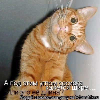А под этим углом сосиска кажется шире.... Или это её длина?... Котоматрица: А под этим углом сосиска кажется шире.... Или это её длина?