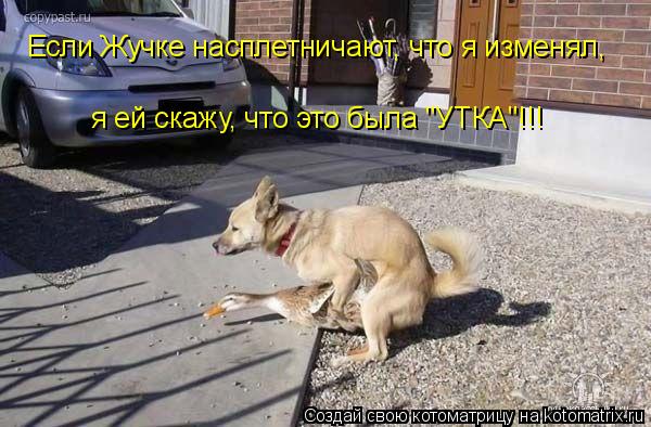 Если Жучке насплетничают, что я изменял, я ей скажу, что это была "УТКА"!!!... Котоматрица: Если Жучке насплетничают, что я изменял, я ей скажу, что это была "УТКА"!!!