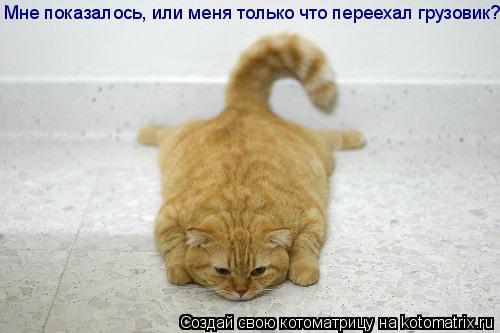 Мне показалось, или меня только что переехал грузовик?!... Котоматрица: Мне показалось, или меня только что переехал грузовик?!