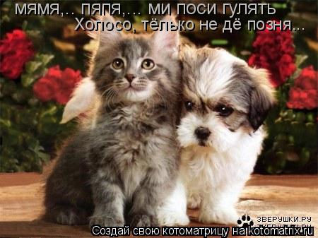мямя,.. пяпя,... ми поси гулять Холосо, тёлько не дё позня...... Котоматрица: мямя,.. пяпя,... ми поси гулять Холосо, тёлько не дё позня...