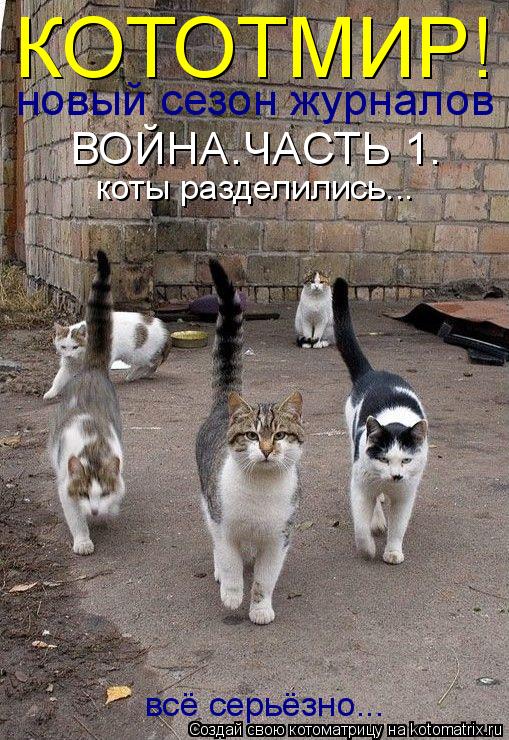 КОТОТМИР! новый сезон журналов ВОЙНА.ЧАСТЬ 1. коты разделились... всё серьёзно...... Котоматрица: КОТОТМИР! новый сезон журналов ВОЙНА.ЧАСТЬ 1. коты разделились... всё серьёзно...