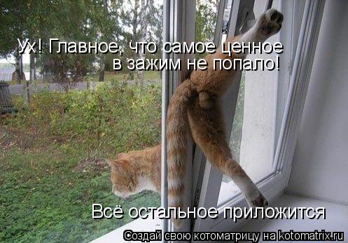 Ух! Главное, что самое ценное в зажим не попало! Всё остальное приложится... Котоматрица: Ух! Главное, что самое ценное в зажим не попало! Всё остальное приложится